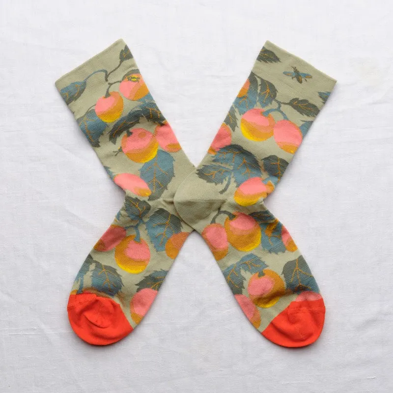 Socks - Fruits Sage