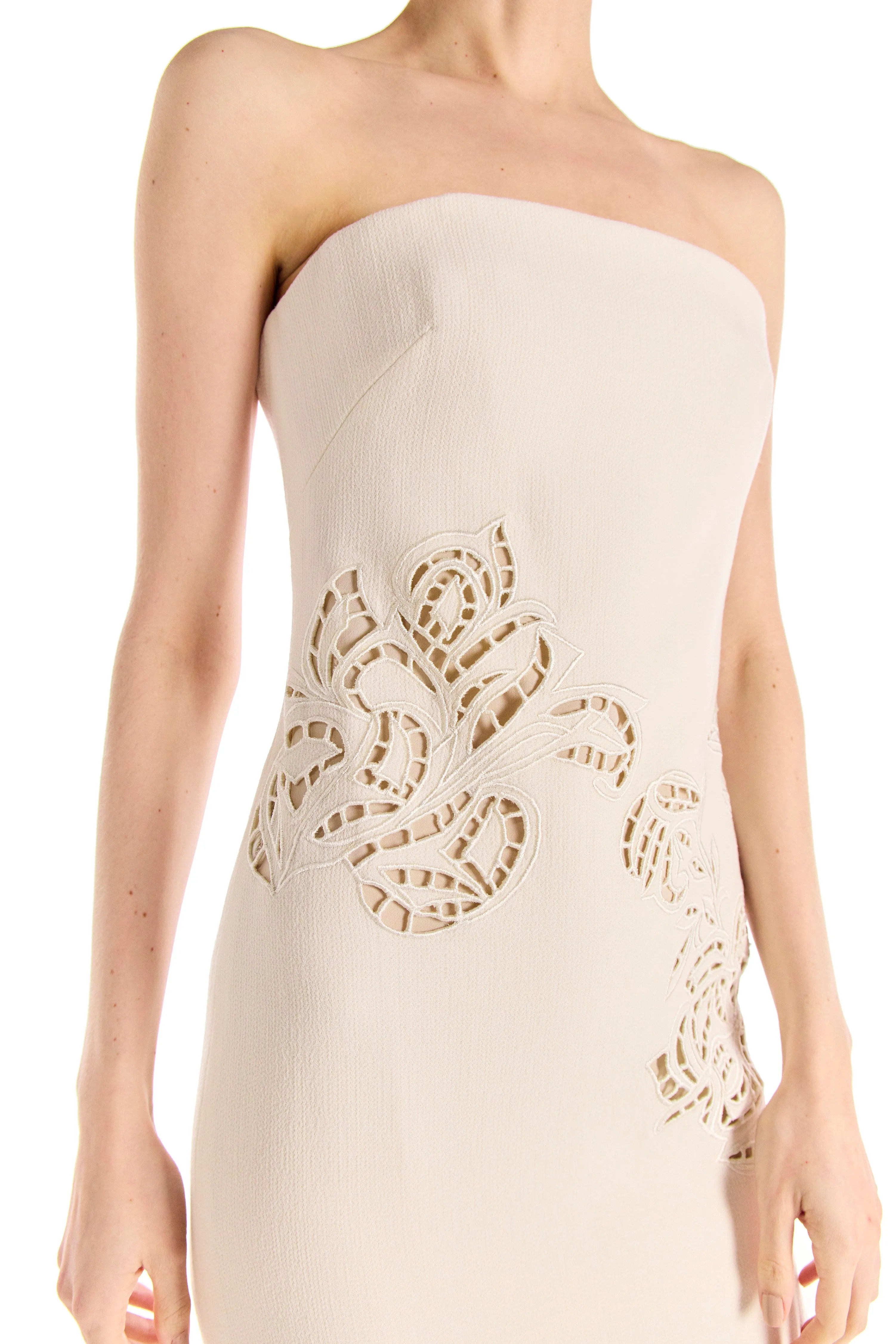 Strapless Embroidered Wool Dress