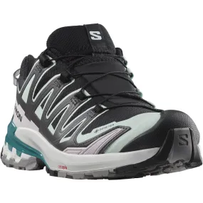 XA PRO 3D v9 GTX Women's Walking Shoes